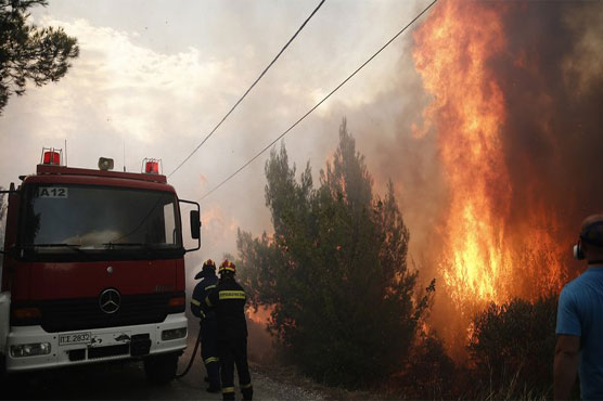 At least 20 dead in Greek wildfires