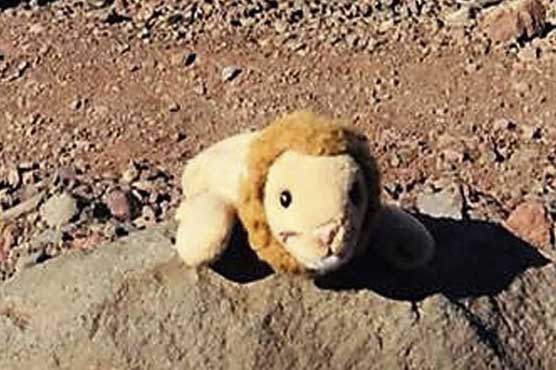 Oregon woman reunites girl with toy lion lost on remote hike