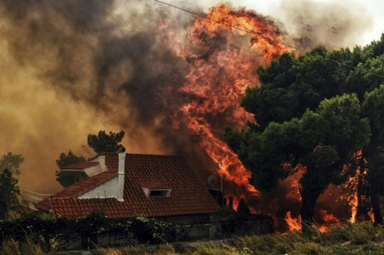 Flames ravage Greek seaside as wildfires kill 74