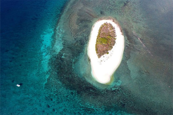 Untouched ocean habitats rapidly shrinking: study