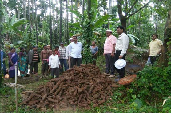 India excavators find over thousand 18th-century war rockets