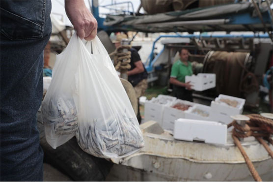 Growing momentum to close the net on illegal fishing