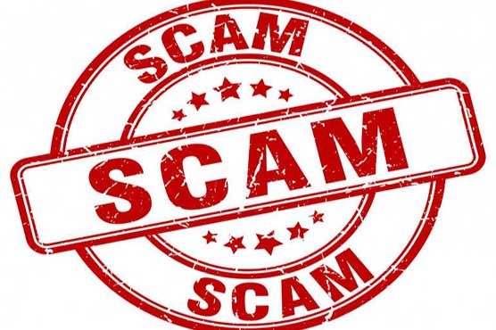 Punjab companies scam: Dunya News unveils embezzlement of Rs2 bn in PEEF