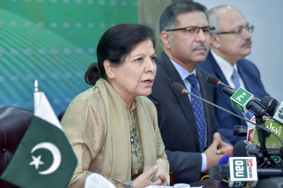 'Interim govt committed to hold free, fair and peaceful polls'