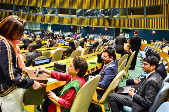 Pakistan elected to UN Economic and Social Council