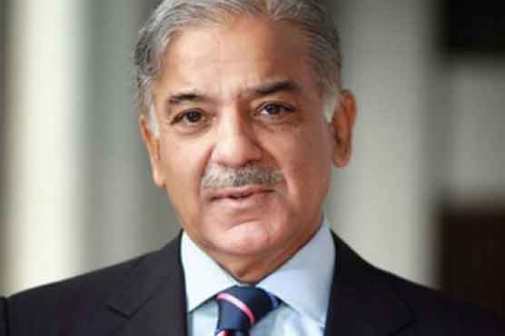 Resolution of Kashmir dispute not possible without dialogues: Shehbaz 