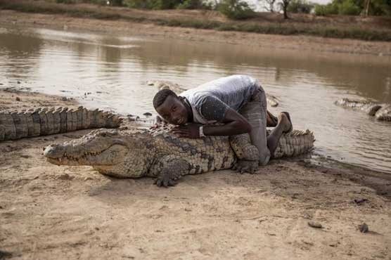 Sacred snappers: The village where crocodiles are welcome