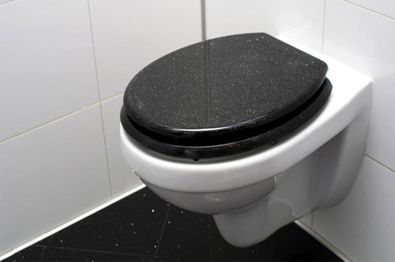 Busted flush: Japan fans spark plumbing pinch in World Cup loo dash