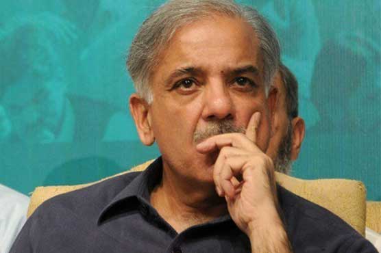 NAB summons Shehbaz Sharif in Punjab Power Company case