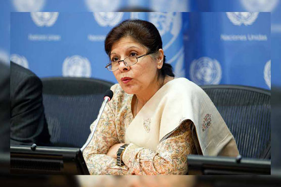 Shamshad reiterates govt's resolve to strengthen measures against terrorism, terrorism financing