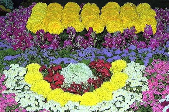 Spring is in the air: Karachi hosts four-day flower exhibition