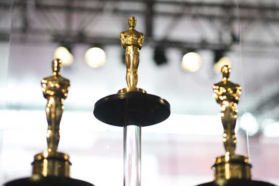 The nine contenders for the best picture Oscar