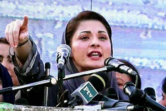 Maryam congratulates PML-N's 'lions' for winning majority in Senate