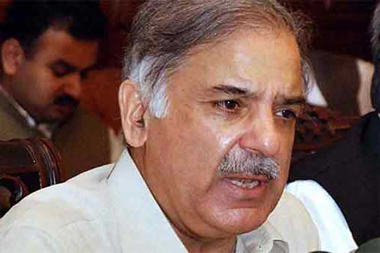 PML-N most popular political party in country: Shehbaz Sharif