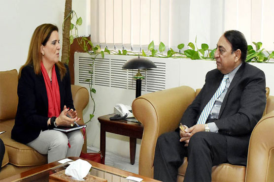 IMF representative calls on Finance Minister Rana Afzal