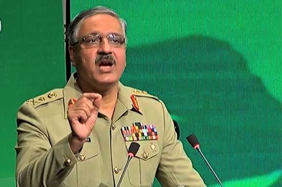 There are some people who abuse the country: Gen Zubair Mahmood