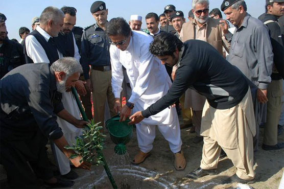 NAB KP forms committee to probe alleged corruption in 'Billion Tree Tsunami Project'
