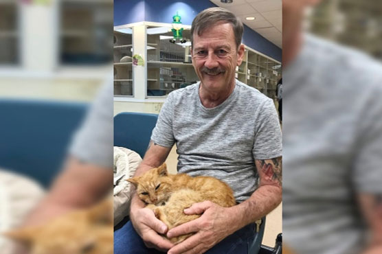 Florida man reunites with pet cat lost 14 years ago