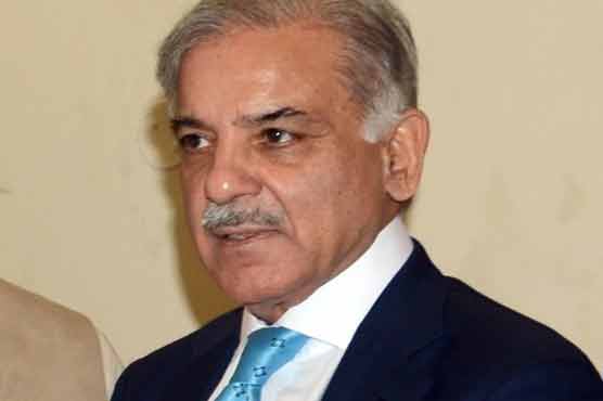 PML-N's efforts to end energy crisis bear fruit: CM Shehbaz 