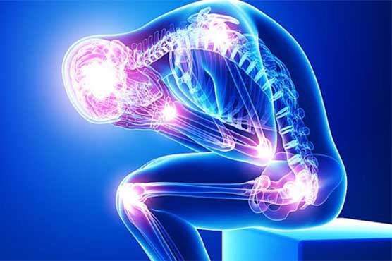 Chinese scientists find molecular pathway in chronic pain