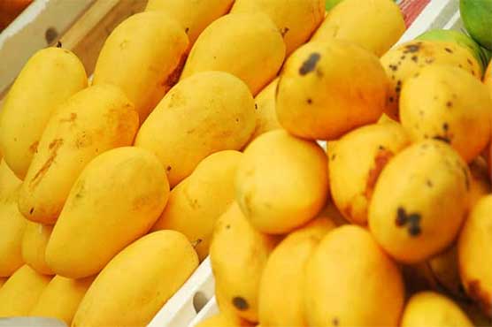 Mango export target set at 100,000 tons for year 2018