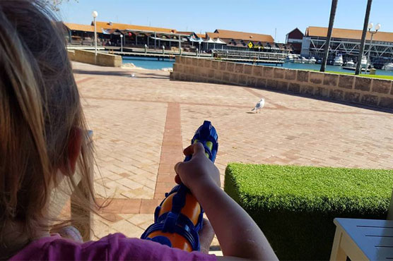 Ready, aim, fire: Australian diners given water pistols to ward off seagulls