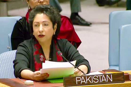 Lodhi urges UN to implement resolutions regarding Kashmir, Palestine at int'l forums