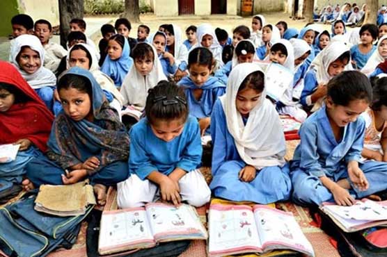 PTI fails to implement reforms agenda in KP during five years