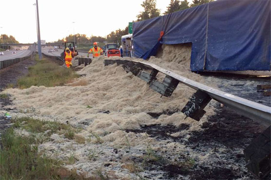 Truck dumps 40,000 pounds of chicken feathers on highway