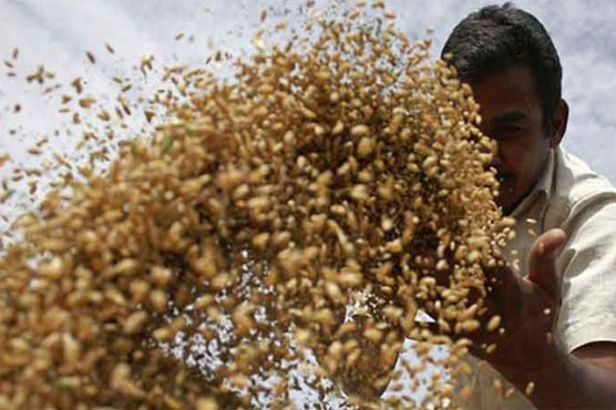 Govt launches first ever national food security policy