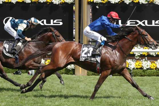 Cross Counter wins Australia's Melbourne Cup