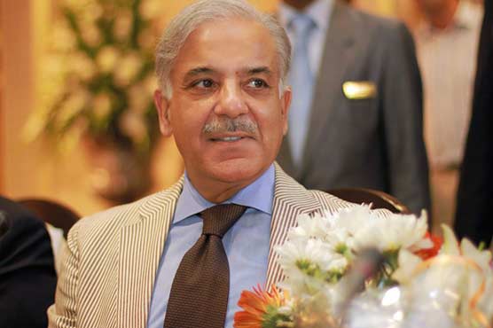 Shehbaz urges govt, opposition to refrain from using foul language