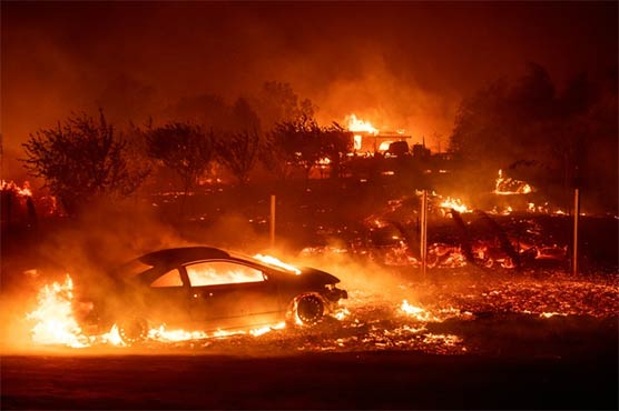 Nine die in California wildfires, tens of thousands forced to flee