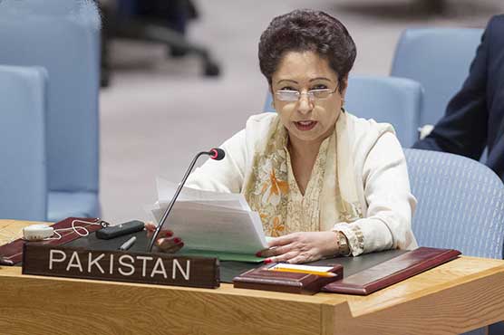 Pakistan increases contribution to help Palestinian refugees: Maleeha Lodhi