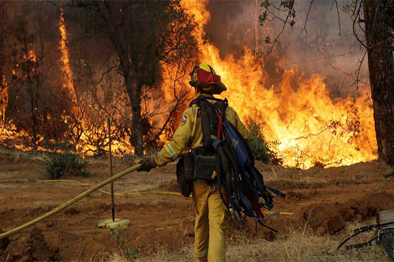 Firefighters battle blazes on two fronts in California, 44 dead
