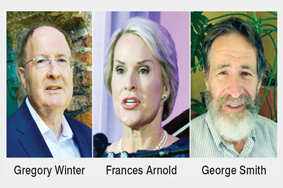 Trio win Nobel Chemistry Prize for research harnessing evolution