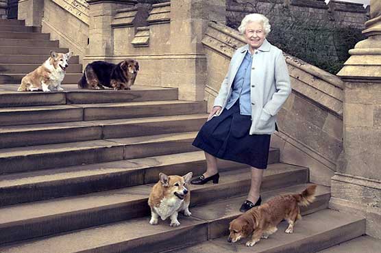 Queen's last corgi dies, leaving only dorgis: report