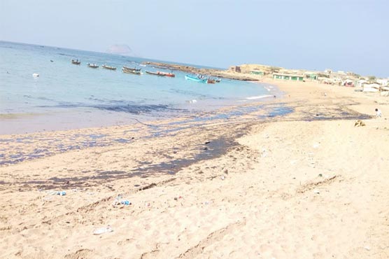 Sindh CM takes notice of oil slick