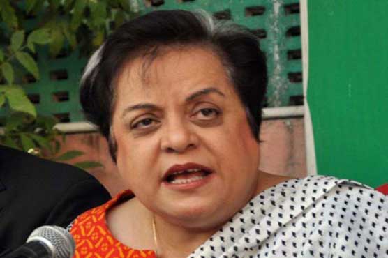 UN representatives call on Shireen Mazari