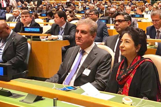 Pakistan will continue to work for regional stability: FM 