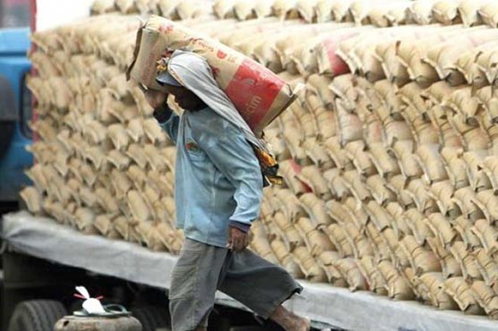 MoC stressed to approach SA authorities for waiving anti-dumping duty on cement 