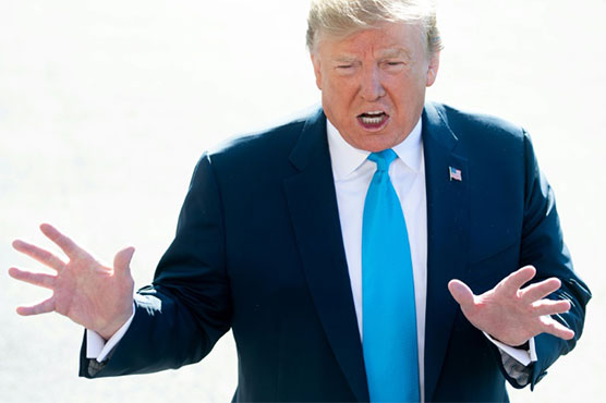 Trump: world's greatest expert on... almost everything