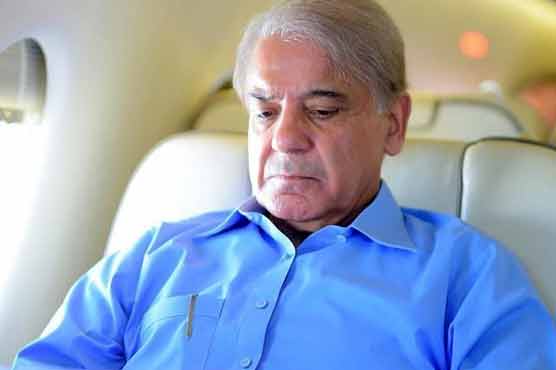 Ashiana case: Accountability court accepts Shehbaz's exemption plea