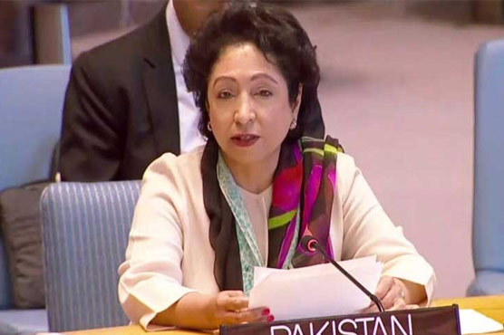 Pakistan calls for joint efforts to address root cause of conflicts