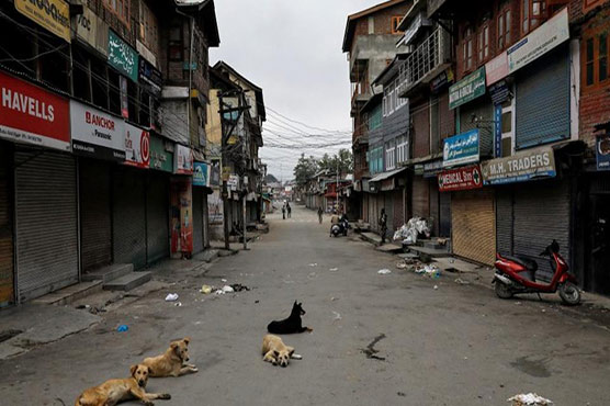 Human Rights Watch demands India to 'step back in Kashmir'