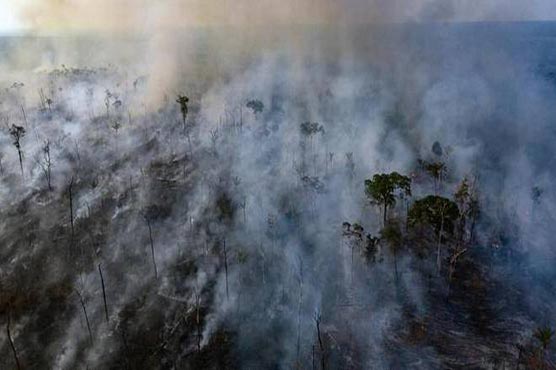 Warplanes dump water on Amazon as Brazil military begins fighting fires