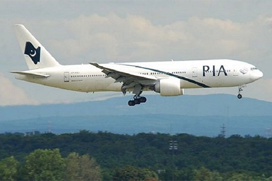 PIA initiates crackdown against employees with fake credentials 