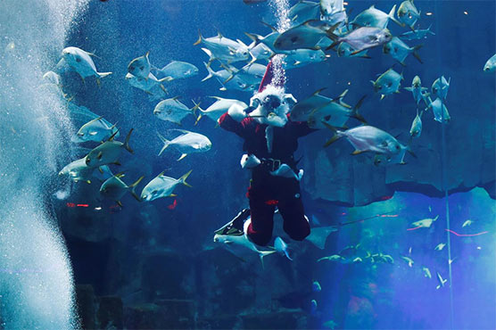 Santa Claus dives into hot climate issue in Paris aquarium