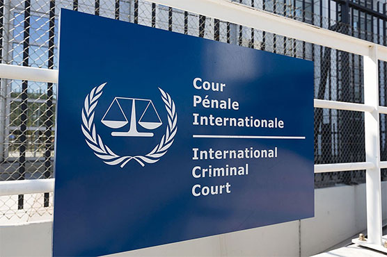 ICC to probe 'war crimes' in Palestinian territories