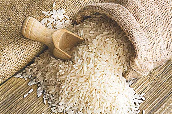 Food exports increase by 16.20pc, imports decline by 15.36pc in five months